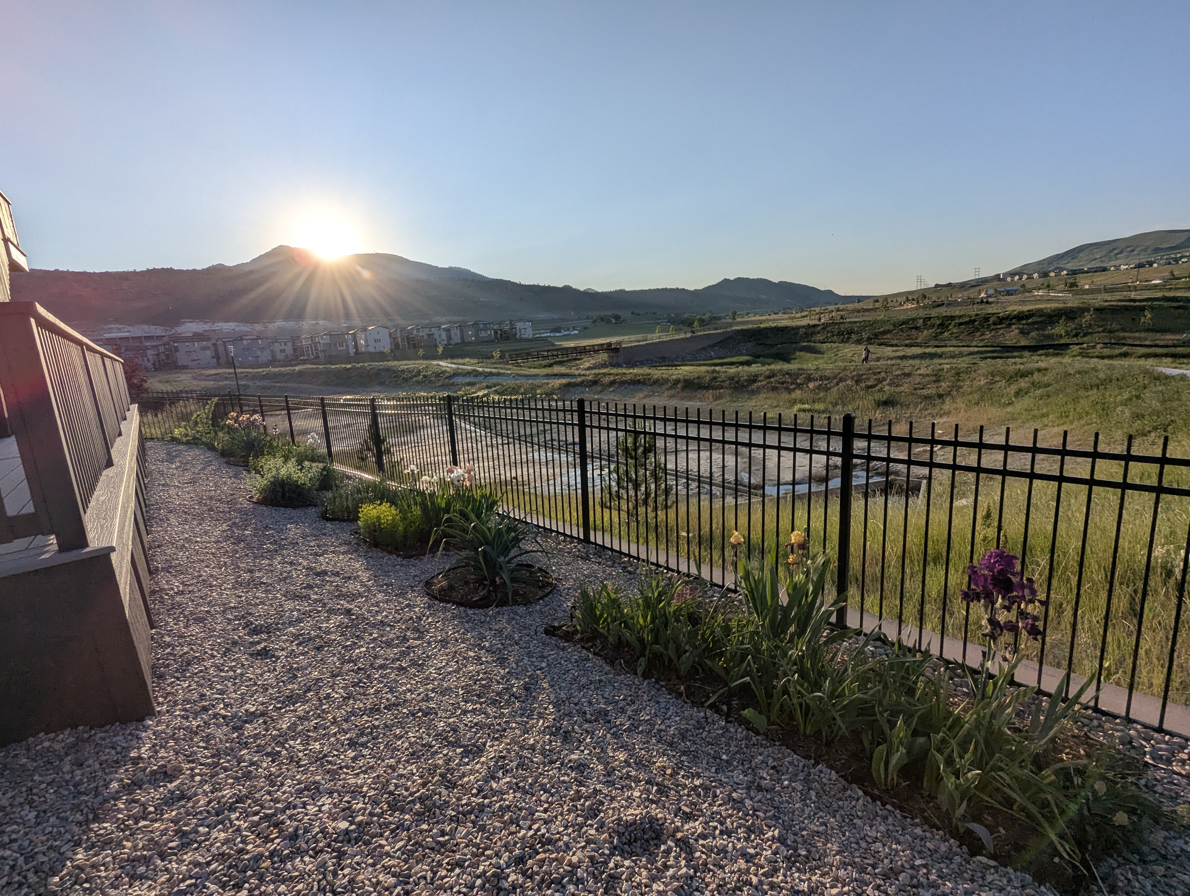 Garden, Flowers, Morrison, Colorado